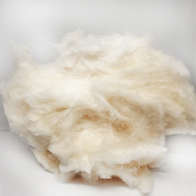 Picture of 72007 Maple floss cotton candy 3.25lb