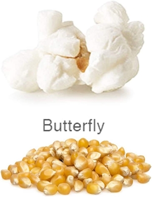 Picture of 70150 50lbs Yellow butterfly popcorn High Expansion MAX48
